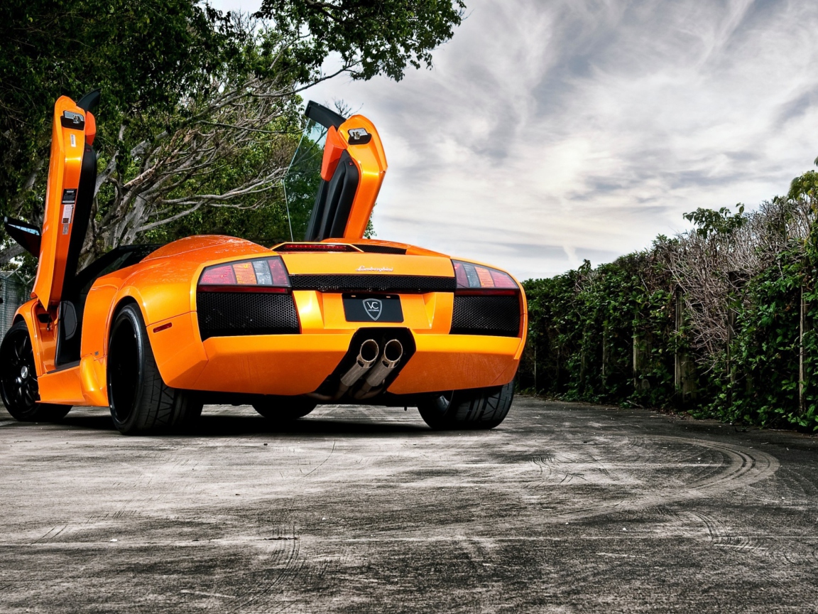 Обои Orange Lamborghini Murcielago 1152x864