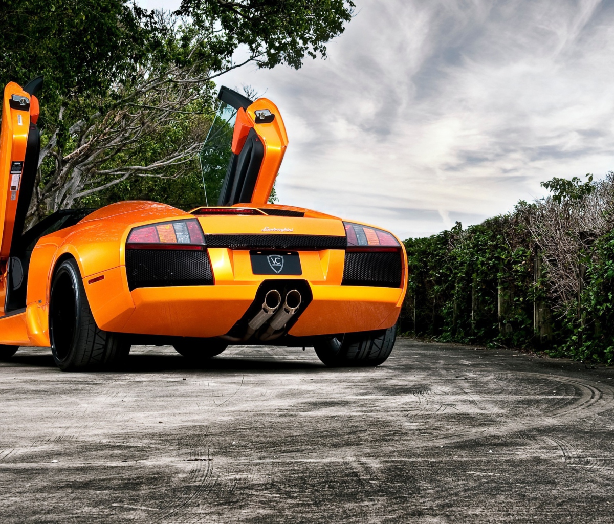 Обои Orange Lamborghini Murcielago 1200x1024