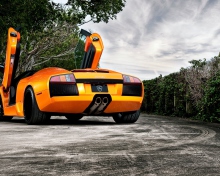 Fondo de pantalla Orange Lamborghini Murcielago 220x176