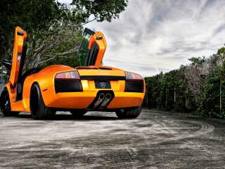 Das Orange Lamborghini Murcielago Wallpaper 320x240