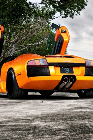 Orange Lamborghini Murcielago wallpaper 320x480