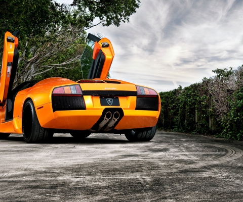Orange Lamborghini Murcielago wallpaper 480x400