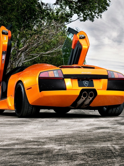 Orange Lamborghini Murcielago wallpaper 480x640
