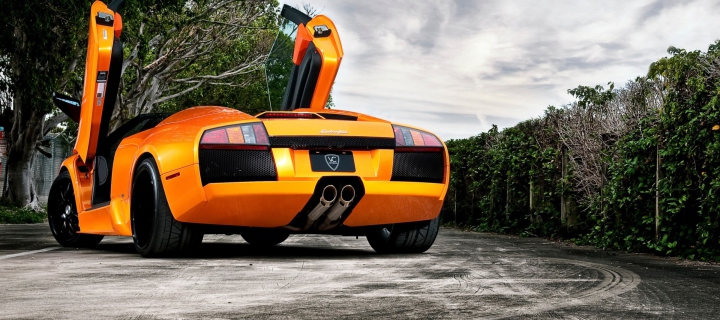 Обои Orange Lamborghini Murcielago 720x320