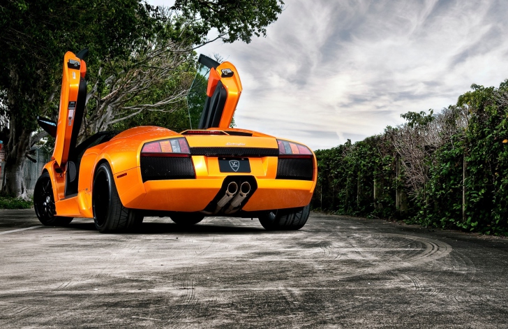 Das Orange Lamborghini Murcielago Wallpaper