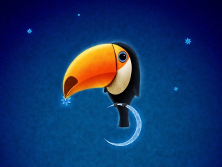 Screenshot №1 pro téma Toucan Bird 320x240