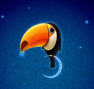 Toucan Bird sfondi gratuiti per iPad mini
