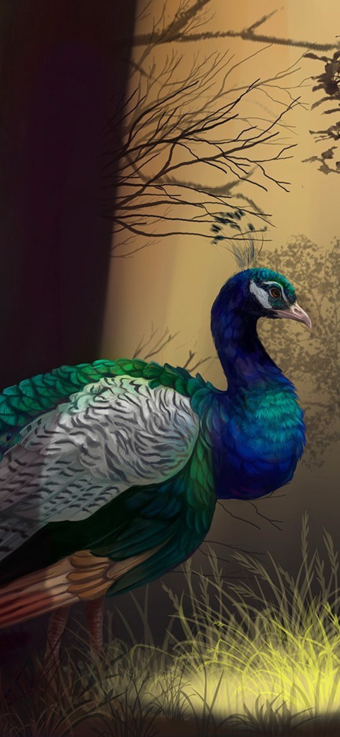 Das Peacock Wallpaper 1170x2532