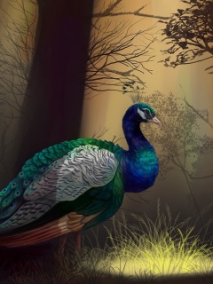 Fondo de pantalla Peacock 240x320