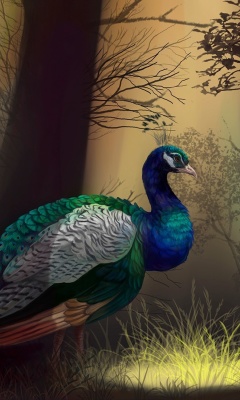 Das Peacock Wallpaper 240x400