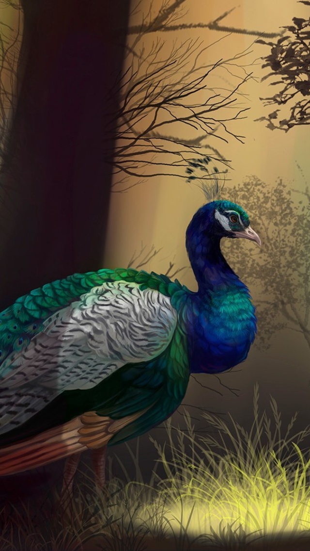 Peacock wallpaper 640x1136