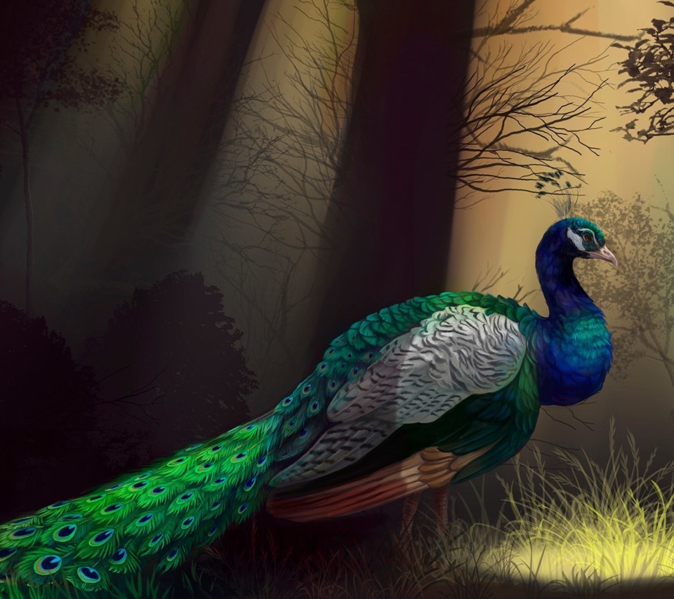 Peacock screenshot #1 960x854