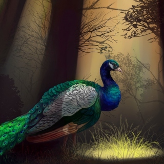 Peacock - Obrázkek zdarma pro iPad