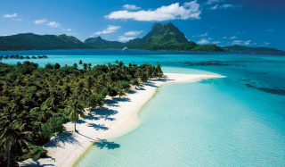 Exotic Tahiti - Obrázkek zdarma 