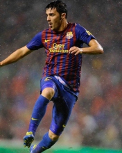 David Villa FC Barcelona screenshot #1 176x220