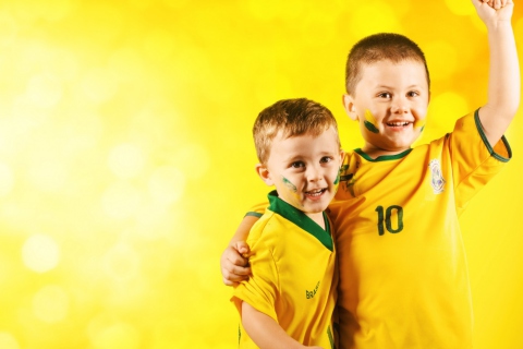 Brasil FIFA Football Fans wallpaper 480x320