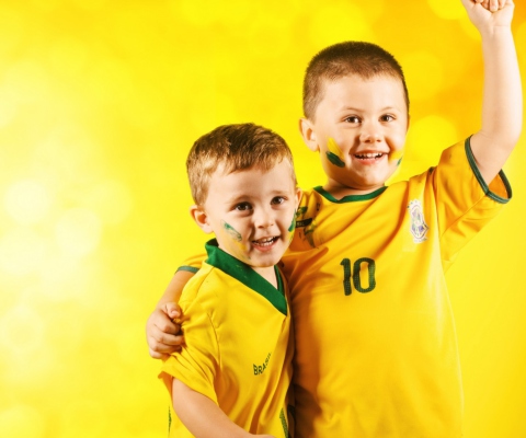 Das Brasil FIFA Football Fans Wallpaper 480x400