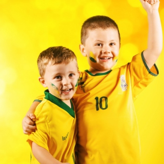 Brasil FIFA Football Fans - Obrázkek zdarma pro iPad mini 2