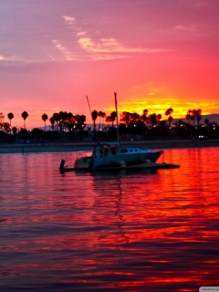 California Sunset screenshot #1 240x320