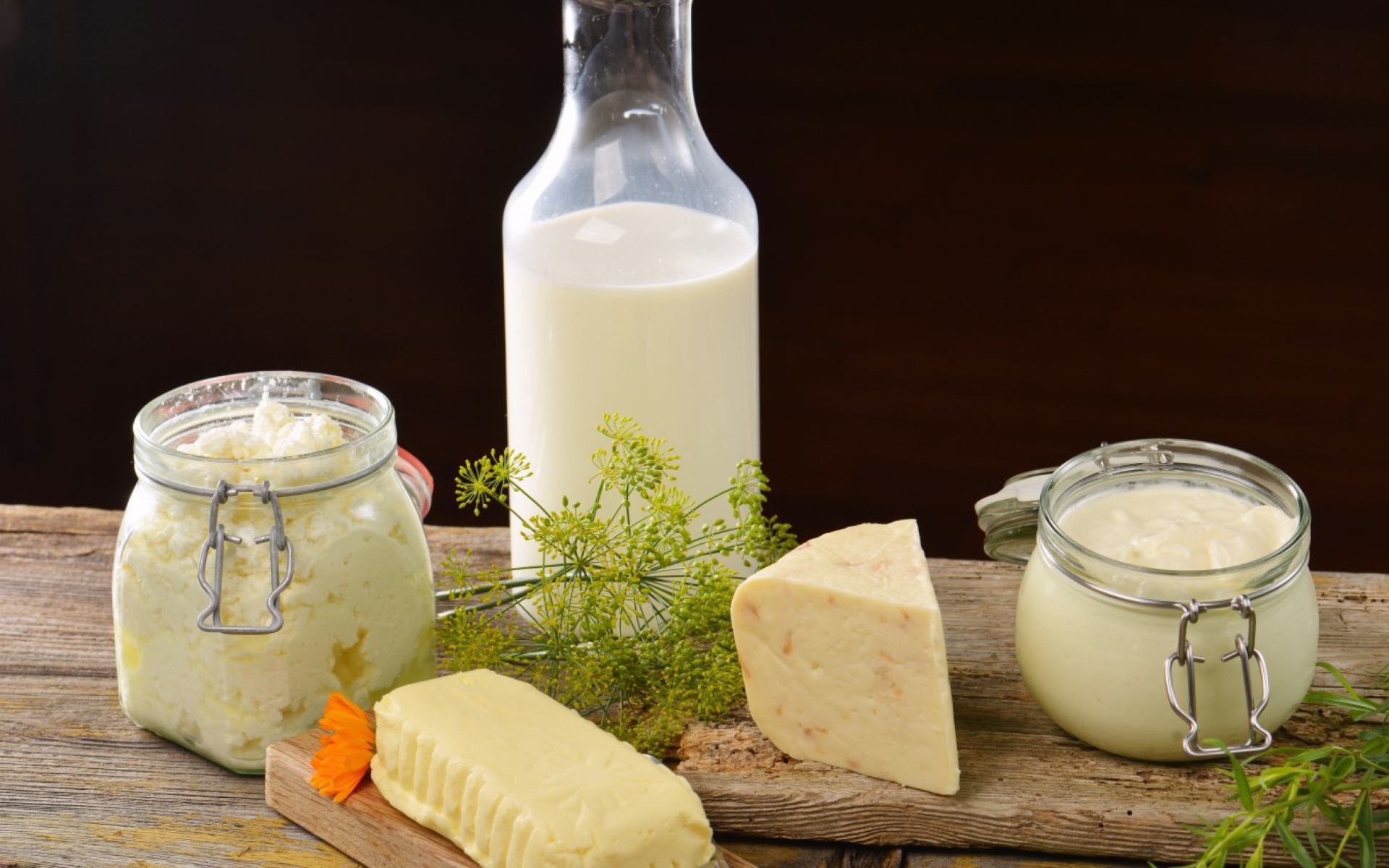 Sfondi Milk, cheesea and butter 1920x1200