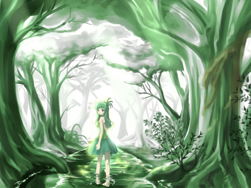 Das Green Forest Fairy Wallpaper 800x600