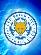 Leicester City Football Club wallpaper 132x176