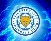 Das Leicester City Football Club Wallpaper 176x144