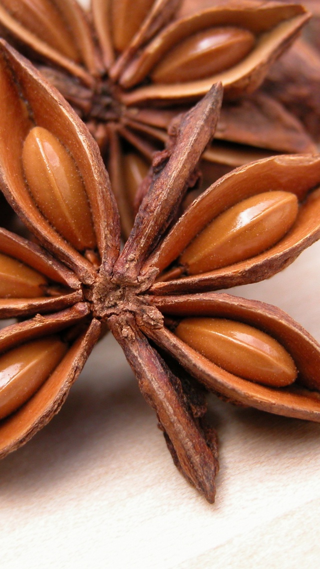 Anise screenshot #1 640x1136