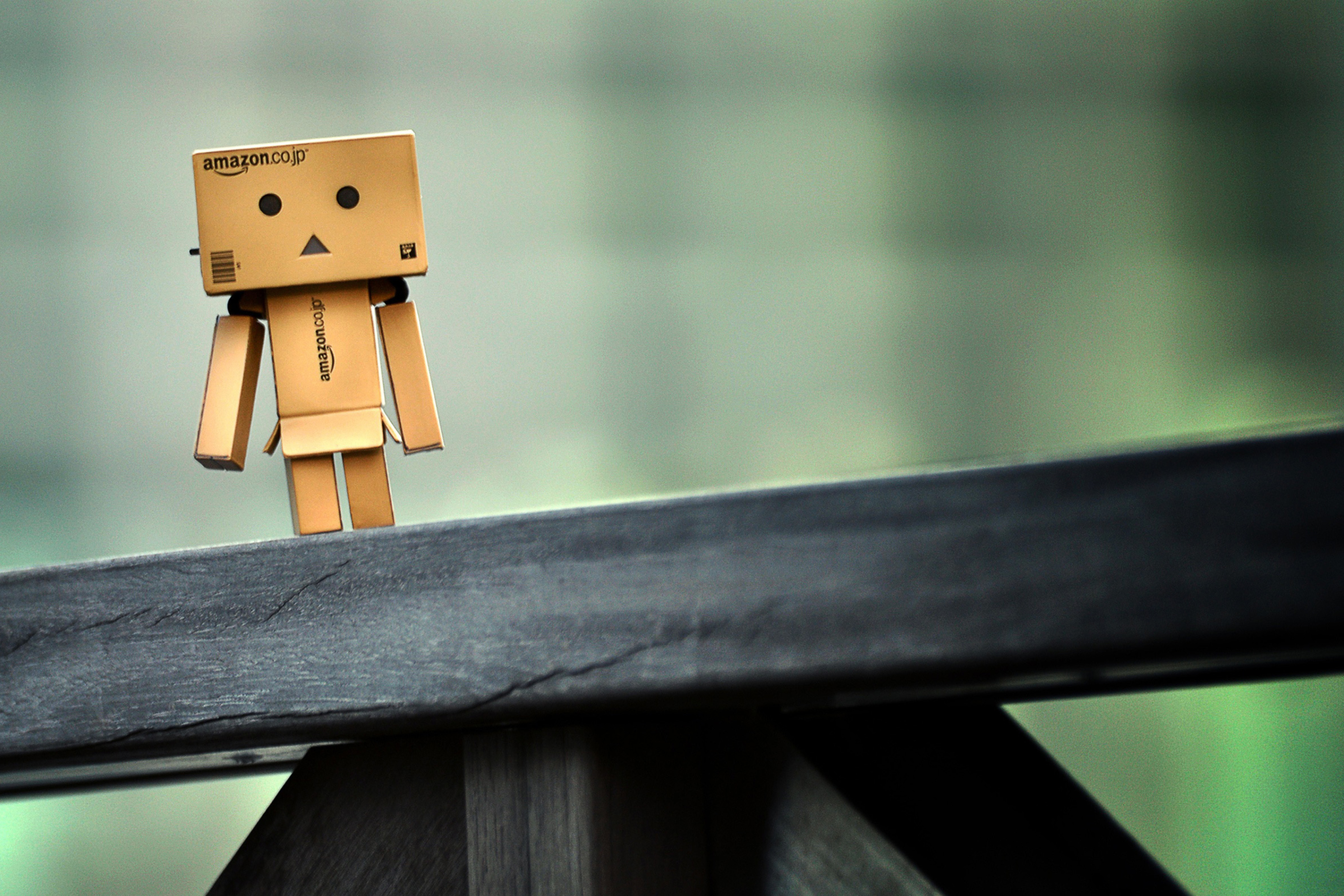 Screenshot №1 pro téma Lonely Danbo 2880x1920