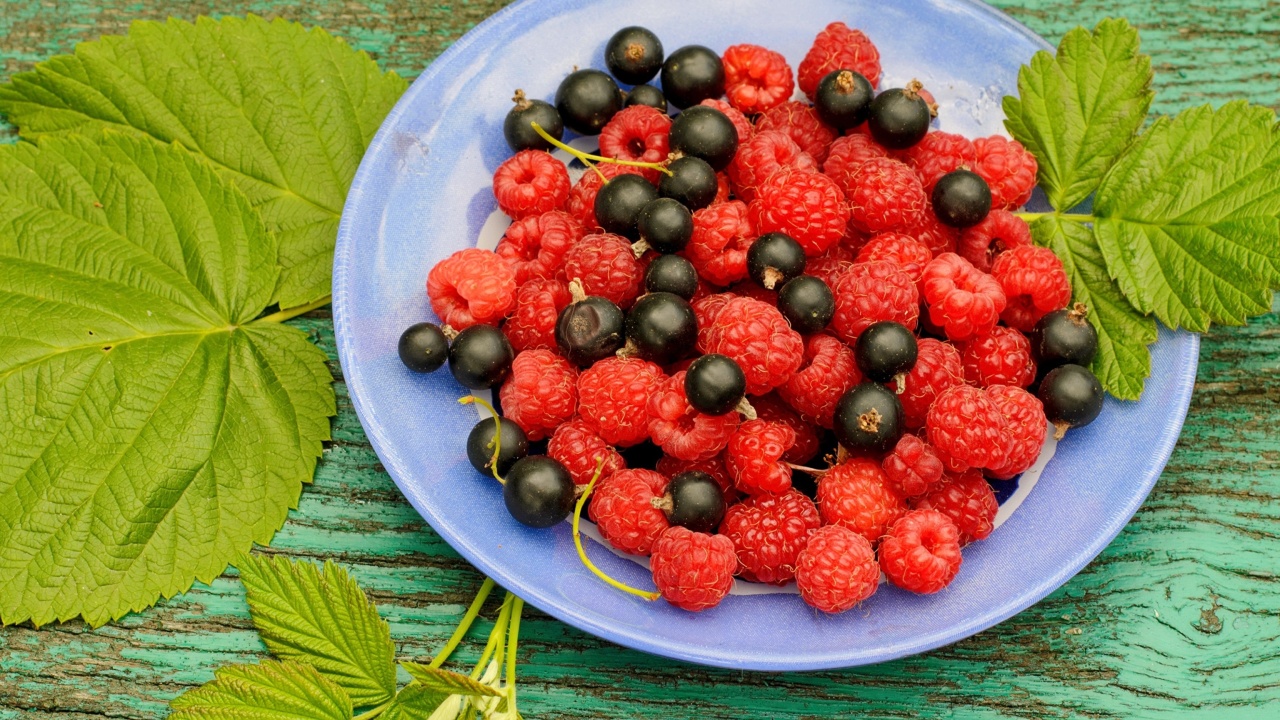 Berries in Plate wallpaper 1280x720