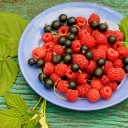 Berries in Plate screenshot #1 128x128