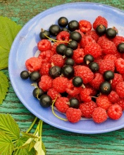 Berries in Plate screenshot #1 176x220