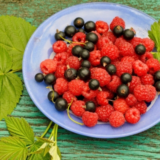 Berries in Plate sfondi gratuiti per 128x128