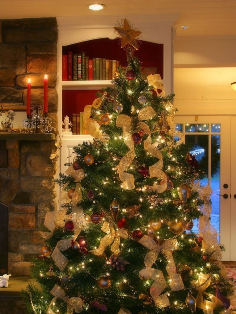 Sfondi Christmas Tree At Home 480x640