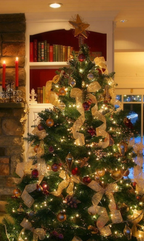 Christmas Tree At Home wallpaper 480x800