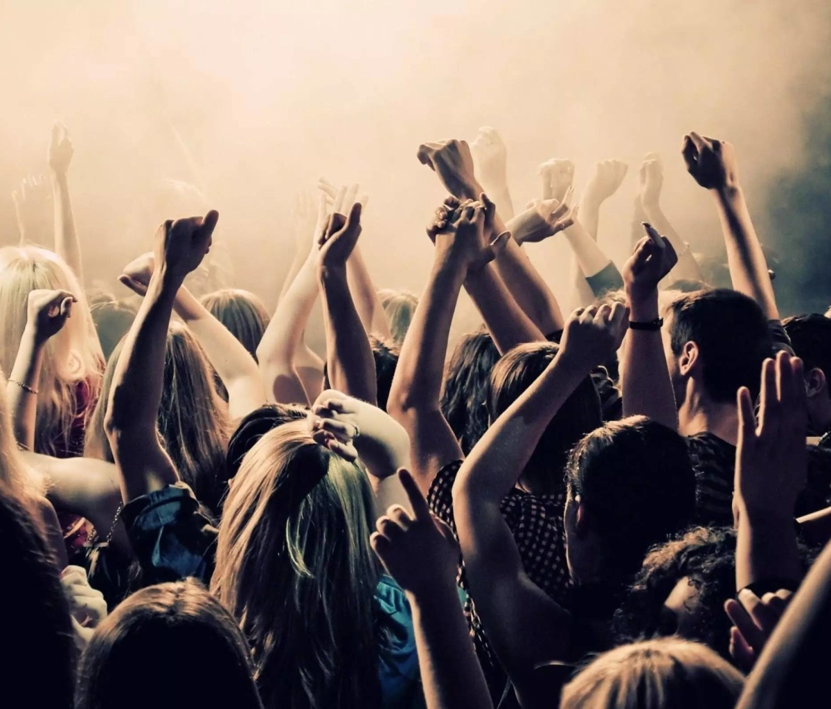 Fondo de pantalla Crazy Party in Night Club, Put your hands up 1200x1024