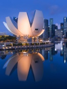 Das Singapore in Southeast Asia Wallpaper 132x176