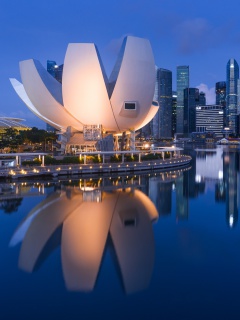 Singapore in Southeast Asia wallpaper 240x320