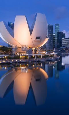 Singapore in Southeast Asia wallpaper 240x400