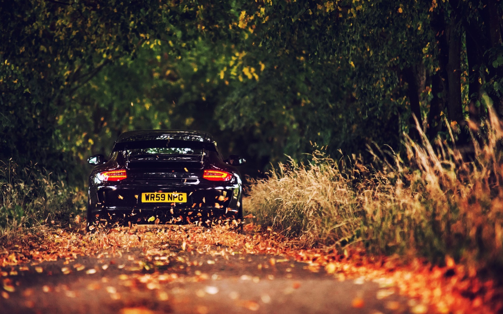 Rainy Autumn Road Drive wallpaper 1680x1050