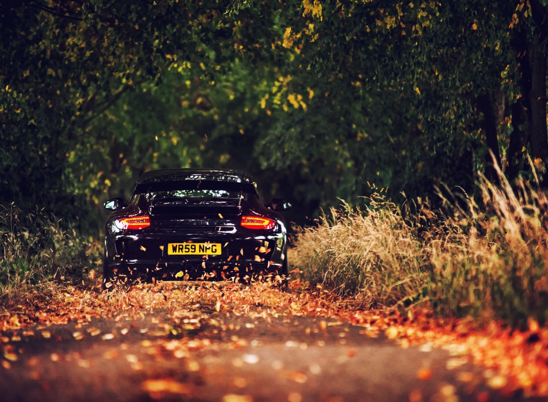 Обои Rainy Autumn Road Drive 1920x1408