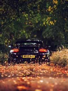 Rainy Autumn Road Drive wallpaper 240x320