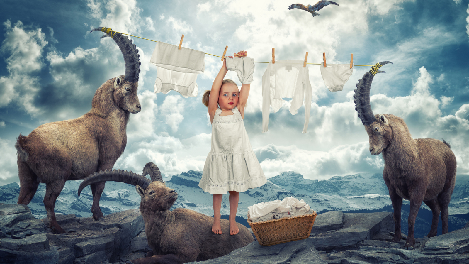 Fantasy Laundry wallpaper 1600x900