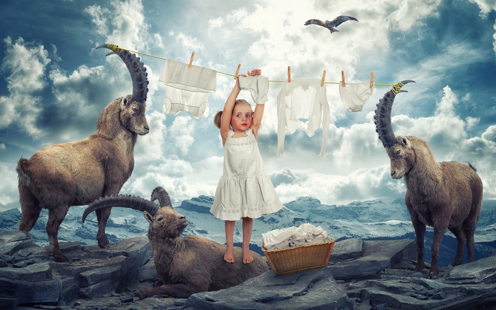 Das Fantasy Laundry Wallpaper 1680x1050
