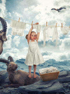 Fantasy Laundry wallpaper 240x320