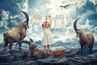 Fantasy Laundry Picture for Android, iPhone and iPad