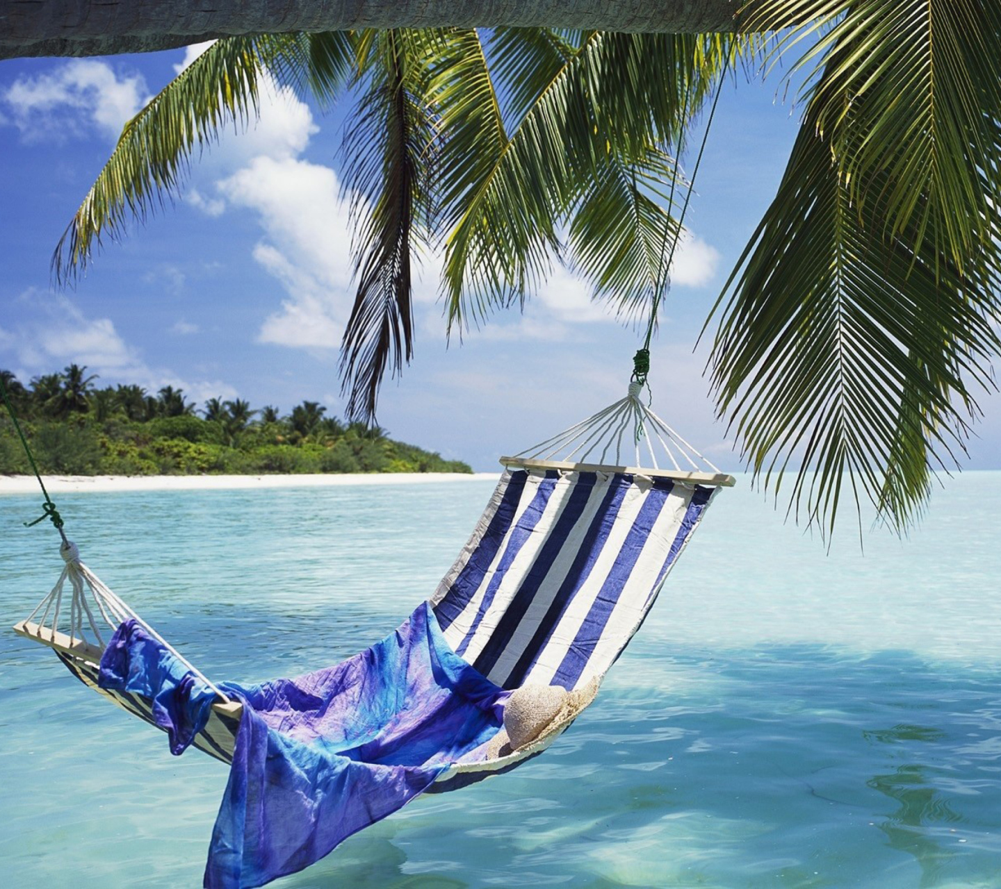 Sfondi Hammock Under Palm Tree Leaves In Maldives 1440x1280