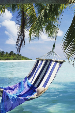 Hammock Under Palm Tree Leaves In Maldives wallpaper 320x480