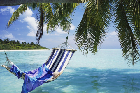 Das Hammock Under Palm Tree Leaves In Maldives Wallpaper 480x320