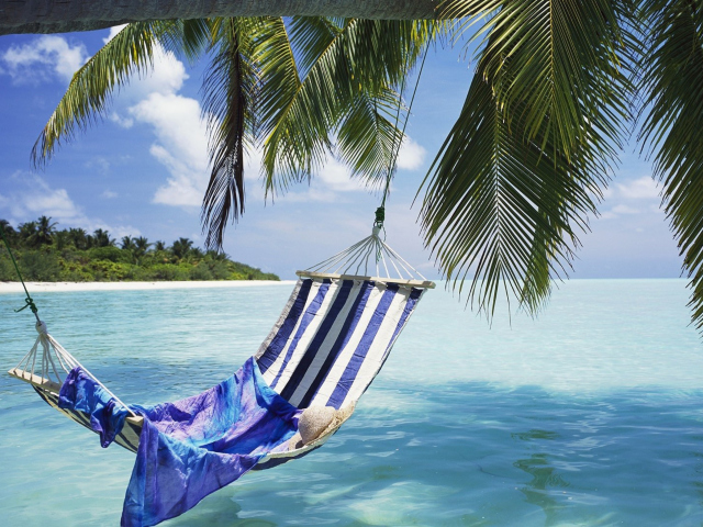 Hammock Under Palm Tree Leaves In Maldives wallpaper 640x480